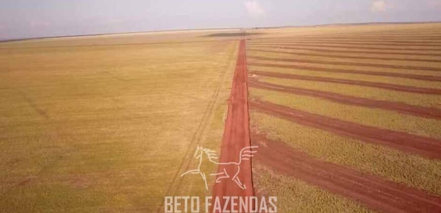Fazenda à Venda 103.000 hectares Dupla Aptidão Pista de Pouso Região Sudeste do Estado | MT Fazenda à Venda 103.000 hectares Dupla Aptidão Pista de Pouso Região Sudeste do Estado | MT