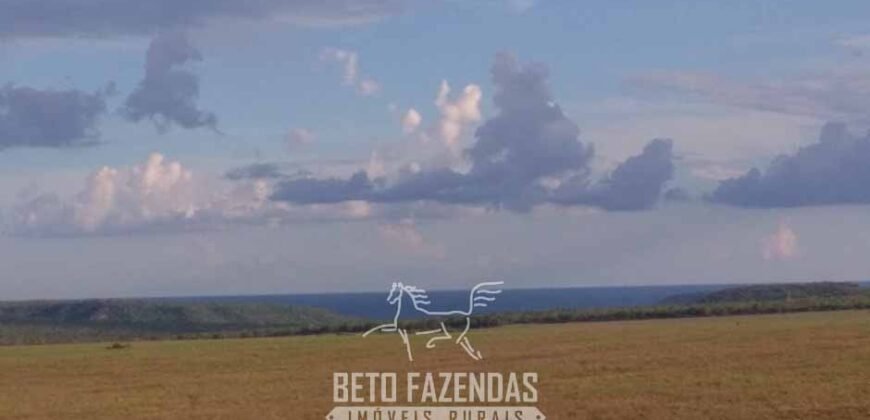 Fazenda à Venda 103.000 hectares Dupla Aptidão Pista de Pouso Região Sudeste do Estado | MT Fazenda à Venda 103.000 hectares Dupla Aptidão Pista de Pouso Região Sudeste do Estado | MT
