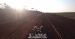 Fazenda à Venda 103.000 hectares Dupla Aptidão Pista de Pouso Região Sudeste do Estado | MT Fazenda à Venda 103.000 hectares Dupla Aptidão Pista de Pouso Região Sudeste do Estado | MT