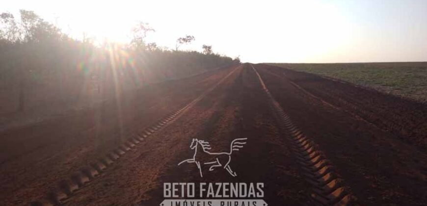 Fazenda à Venda 103.000 hectares Dupla Aptidão Pista de Pouso Região Sudeste do Estado | MT Fazenda à Venda 103.000 hectares Dupla Aptidão Pista de Pouso Região Sudeste do Estado | MT
