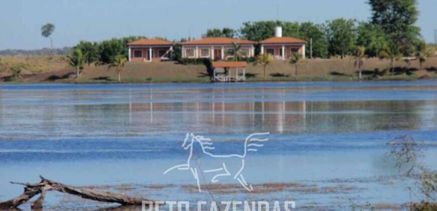 Fazenda à Venda 103.000 hectares Dupla Aptidão Pista de Pouso Região Sudeste do Estado | MT Fazenda à Venda 103.000 hectares Dupla Aptidão Pista de Pouso Região Sudeste do Estado | MT