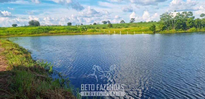 Fazenda de Dupla Aptidão à Venda 1.338 Hectares Ótimo Investimento | Gurupi – TO