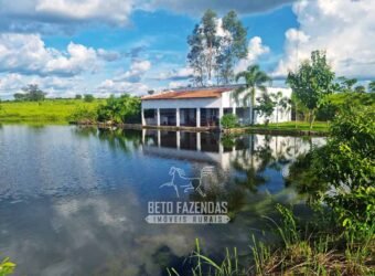 Fazenda de Dupla Aptidão à Venda 1.338 Hectares Ótimo Investimento | Gurupi – TO