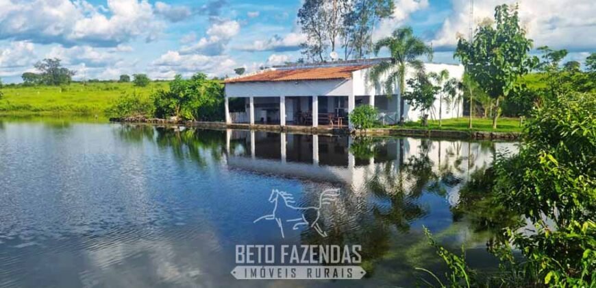 Fazenda de Dupla Aptidão à Venda 1.338 Hectares Ótimo Investimento | Gurupi – TO