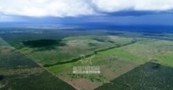 Fazenda de Dupla Aptidão à Venda 1.338 Hectares Ótimo Investimento | Gurupi – TO