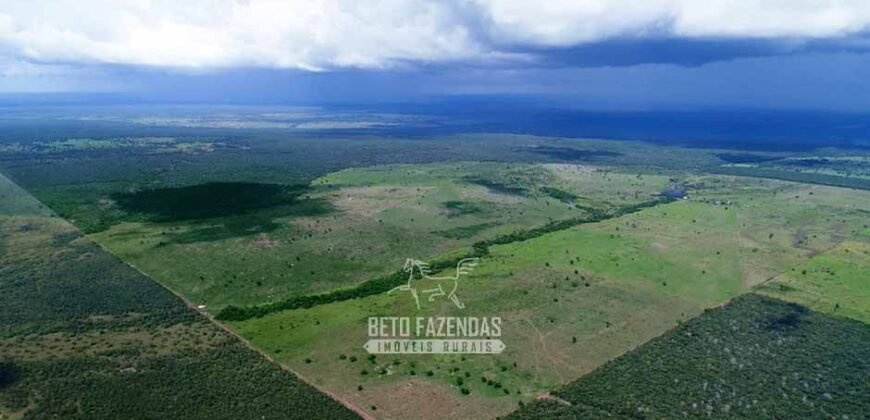 Fazenda de Dupla Aptidão à Venda 1.338 Hectares Ótimo Investimento | Gurupi – TO