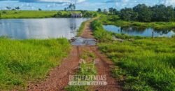 Fazenda de Dupla Aptidão à Venda 1.338 Hectares Ótimo Investimento | Gurupi – TO