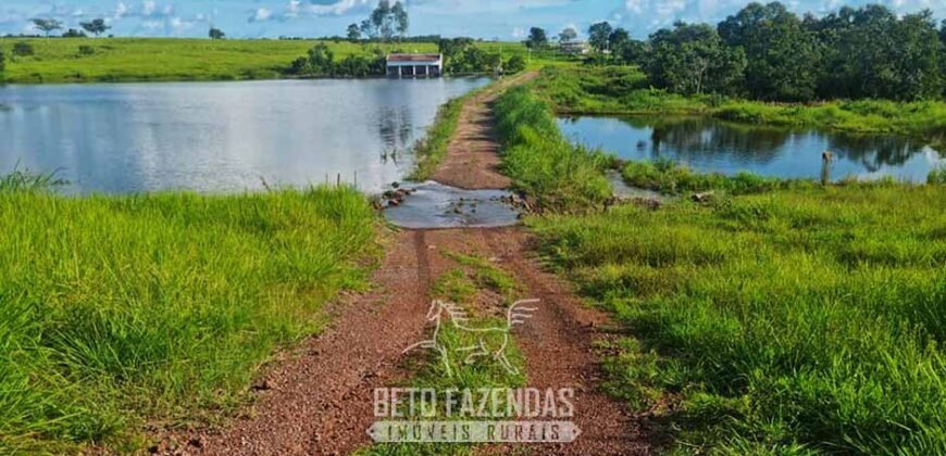 Fazenda de Dupla Aptidão à Venda 1.338 Hectares Ótimo Investimento | Gurupi – TO