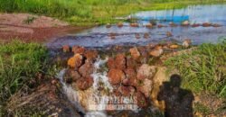 Fazenda de Dupla Aptidão à Venda 1.338 Hectares Ótimo Investimento | Gurupi – TO