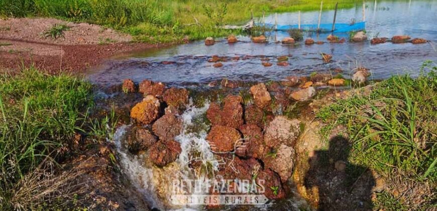 Fazenda de Dupla Aptidão à Venda 1.338 Hectares Ótimo Investimento | Gurupi – TO
