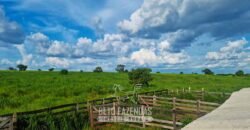Fazenda de Dupla Aptidão à Venda 1.338 Hectares Ótimo Investimento | Gurupi – TO
