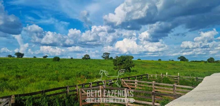 Fazenda de Dupla Aptidão à Venda 1.338 Hectares Ótimo Investimento | Gurupi – TO