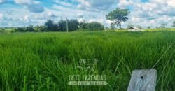 Fazenda de Dupla Aptidão à Venda 1.338 Hectares Ótimo Investimento | Gurupi – TO