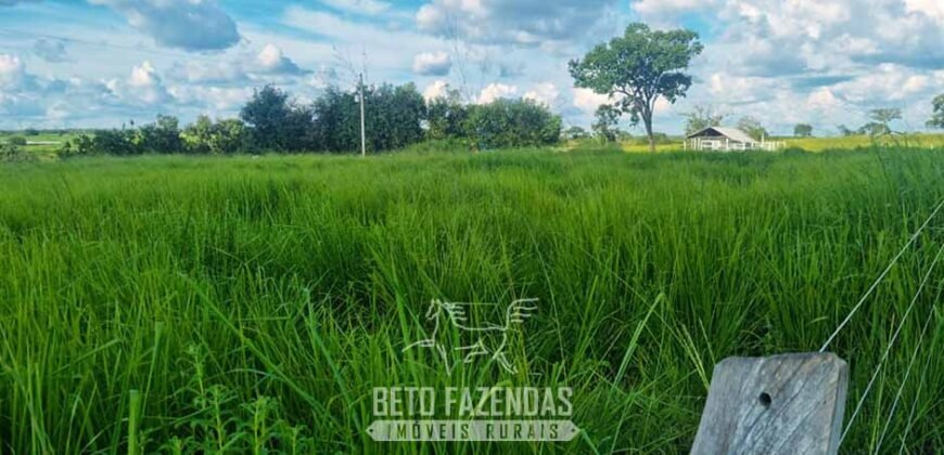 Fazenda de Dupla Aptidão à Venda 1.338 Hectares Ótimo Investimento | Gurupi – TO