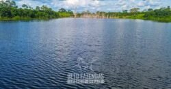 Fazenda de Dupla Aptidão à Venda 1.338 Hectares Ótimo Investimento | Gurupi – TO