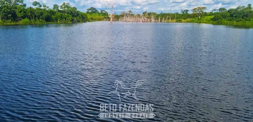 Fazenda de Dupla Aptidão à Venda 1.338 Hectares Ótimo Investimento | Gurupi – TO