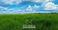 Fazenda de Dupla Aptidão à Venda 1.338 Hectares Ótimo Investimento | Gurupi – TO