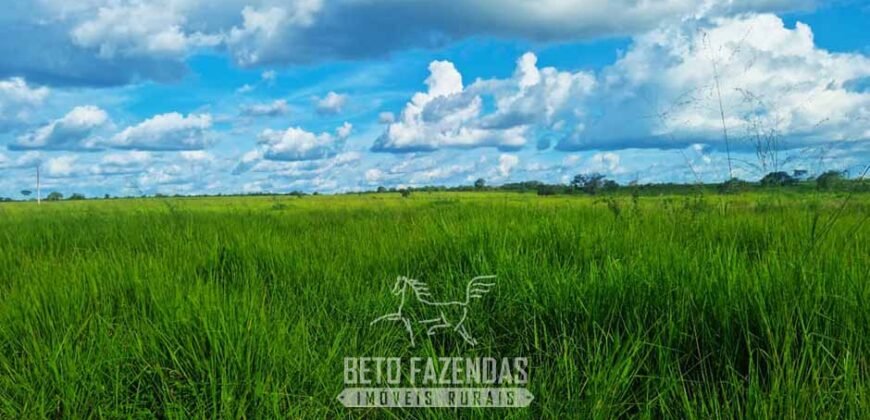 Fazenda de Dupla Aptidão à Venda 1.338 Hectares Ótimo Investimento | Gurupi – TO