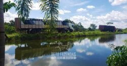 Fazenda de Dupla Aptidão à Venda 1.338 Hectares Ótimo Investimento | Gurupi – TO