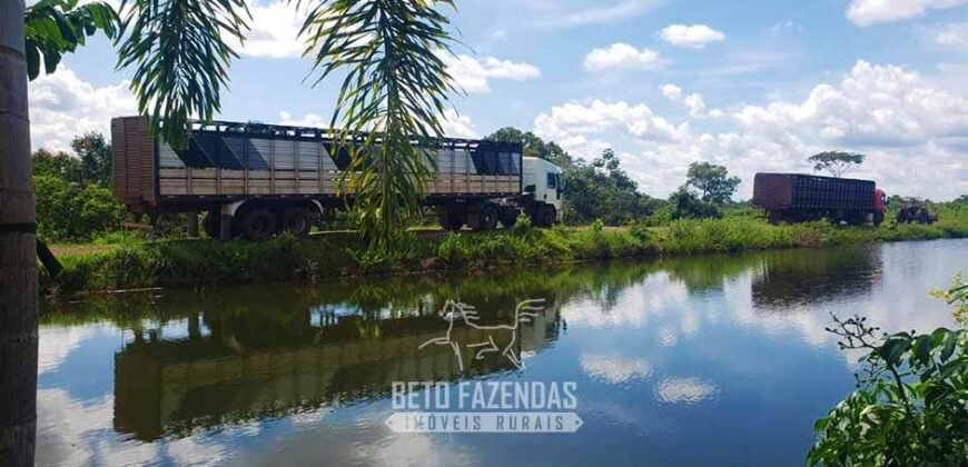 Fazenda de Dupla Aptidão à Venda 1.338 Hectares Ótimo Investimento | Gurupi – TO