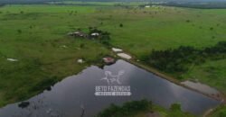 Fazenda de Dupla Aptidão à Venda 1.338 Hectares Ótimo Investimento | Gurupi – TO