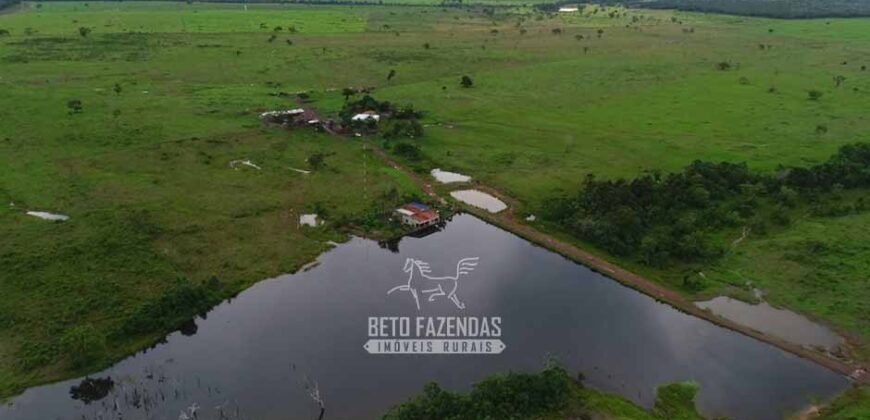 Fazenda de Dupla Aptidão à Venda 1.338 Hectares Ótimo Investimento | Gurupi – TO