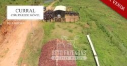 Excelente Fazenda à Venda 438 Hectares para Pecuária, Pupunha e Piscicultura | Iguape/ SP