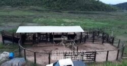 Excelente Fazenda à Venda 438 Hectares para Pecuária, Pupunha e Piscicultura | Iguape/ SP