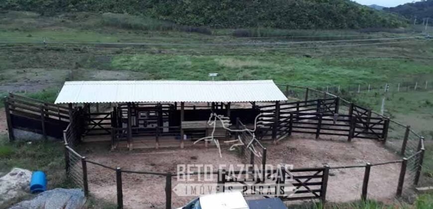 Excelente Fazenda à Venda 438 Hectares para Pecuária, Pupunha e Piscicultura | Iguape/ SP