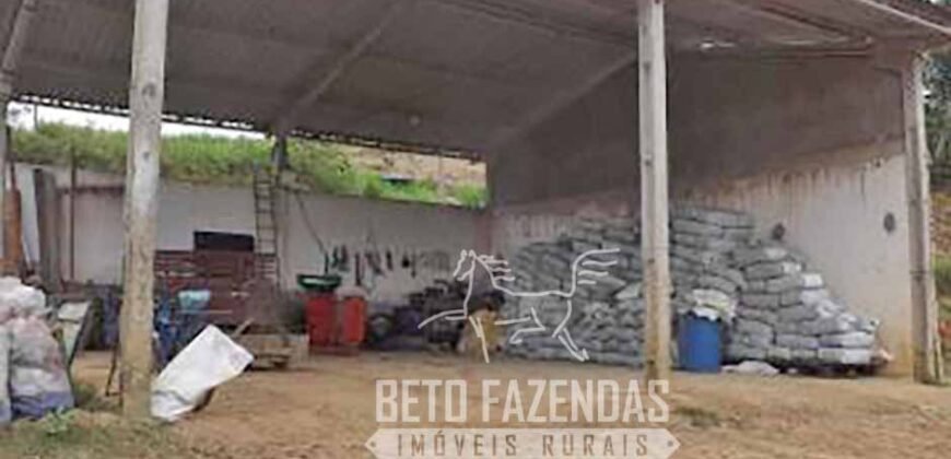 Excelente Fazenda à Venda 438 Hectares para Pecuária, Pupunha e Piscicultura | Iguape/ SP