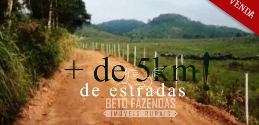 Excelente Fazenda à Venda 438 Hectares para Pecuária, Pupunha e Piscicultura | Iguape/ SP