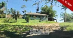 Excelente Fazenda à Venda 438 Hectares para Pecuária, Pupunha e Piscicultura | Iguape/ SP