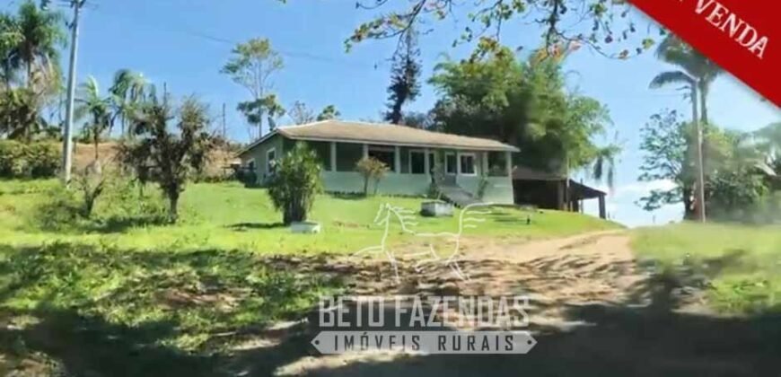 Excelente Fazenda à Venda 438 Hectares para Pecuária, Pupunha e Piscicultura | Iguape/ SP