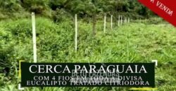 Excelente Fazenda à Venda 438 Hectares para Pecuária, Pupunha e Piscicultura | Iguape/ SP
