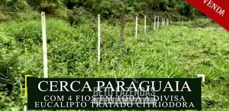 Excelente Fazenda à Venda 438 Hectares para Pecuária, Pupunha e Piscicultura | Iguape/ SP