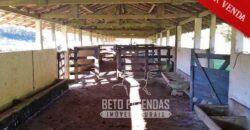 Excelente Fazenda à Venda 438 Hectares para Pecuária, Pupunha e Piscicultura | Iguape/ SP