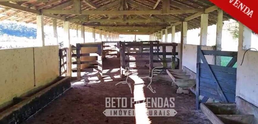 Excelente Fazenda à Venda 438 Hectares para Pecuária, Pupunha e Piscicultura | Iguape/ SP