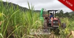 Excelente Fazenda à Venda 438 Hectares para Pecuária, Pupunha e Piscicultura | Iguape/ SP