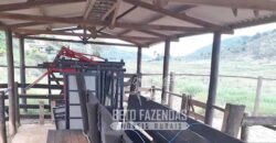 Excelente Fazenda à Venda 438 Hectares para Pecuária, Pupunha e Piscicultura | Iguape/ SP