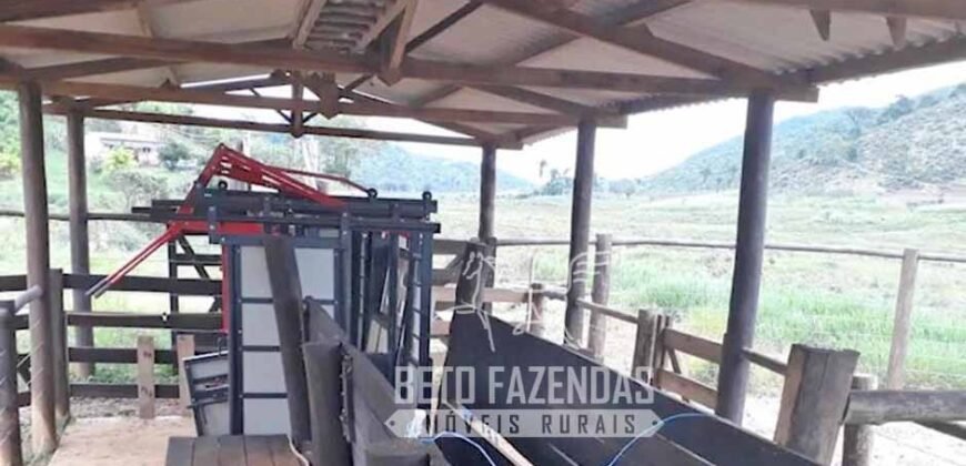 Excelente Fazenda à Venda 438 Hectares para Pecuária, Pupunha e Piscicultura | Iguape/ SP