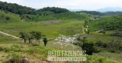 Excelente Fazenda à Venda 438 Hectares para Pecuária, Pupunha e Piscicultura | Iguape/ SP
