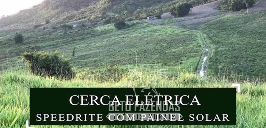 Excelente Fazenda à Venda 438 Hectares para Pecuária, Pupunha e Piscicultura | Iguape/ SP