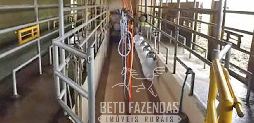 Excelente Fazenda à Venda 438 Hectares para Pecuária, Pupunha e Piscicultura | Iguape/ SP