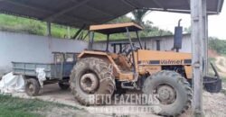 Excelente Fazenda à Venda 438 Hectares para Pecuária, Pupunha e Piscicultura | Iguape/ SP