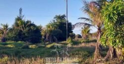 Fazenda `Venda 57 alqueires Alta Produtividade para Pecuária | Quissamã/ RJ Fazenda `Venda 57 alqueires Alta Produtividade para Pecuária | Quissamã/ RJ