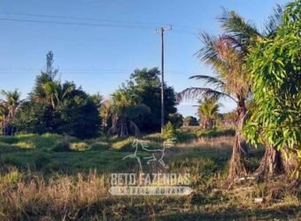 Fazenda `Venda 57 alqueires Alta Produtividade para Pecuária | Quissamã/ RJ Fazenda `Venda 57 alqueires Alta Produtividade para Pecuária | Quissamã/ RJ