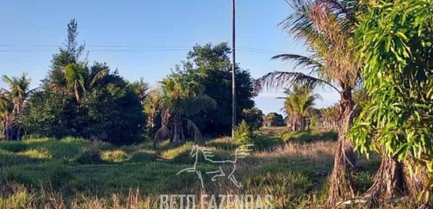 Fazenda `Venda 57 alqueires Alta Produtividade para Pecuária | Quissamã/ RJ Fazenda `Venda 57 alqueires Alta Produtividade para Pecuária | Quissamã/ RJ