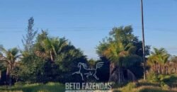 Fazenda `Venda 57 alqueires Alta Produtividade para Pecuária | Quissamã/ RJ Fazenda `Venda 57 alqueires Alta Produtividade para Pecuária | Quissamã/ RJ