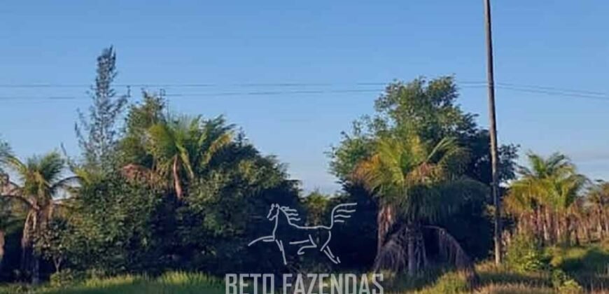 Fazenda `Venda 57 alqueires Alta Produtividade para Pecuária | Quissamã/ RJ Fazenda `Venda 57 alqueires Alta Produtividade para Pecuária | Quissamã/ RJ