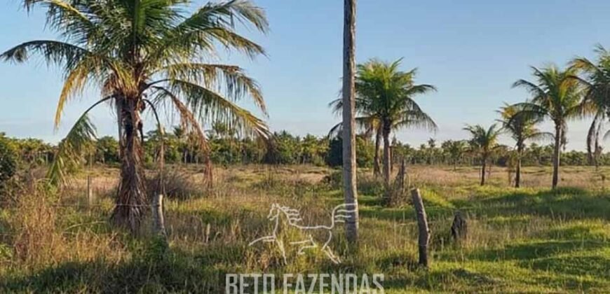 Fazenda `Venda 57 alqueires Alta Produtividade para Pecuária | Quissamã/ RJ Fazenda `Venda 57 alqueires Alta Produtividade para Pecuária | Quissamã/ RJ